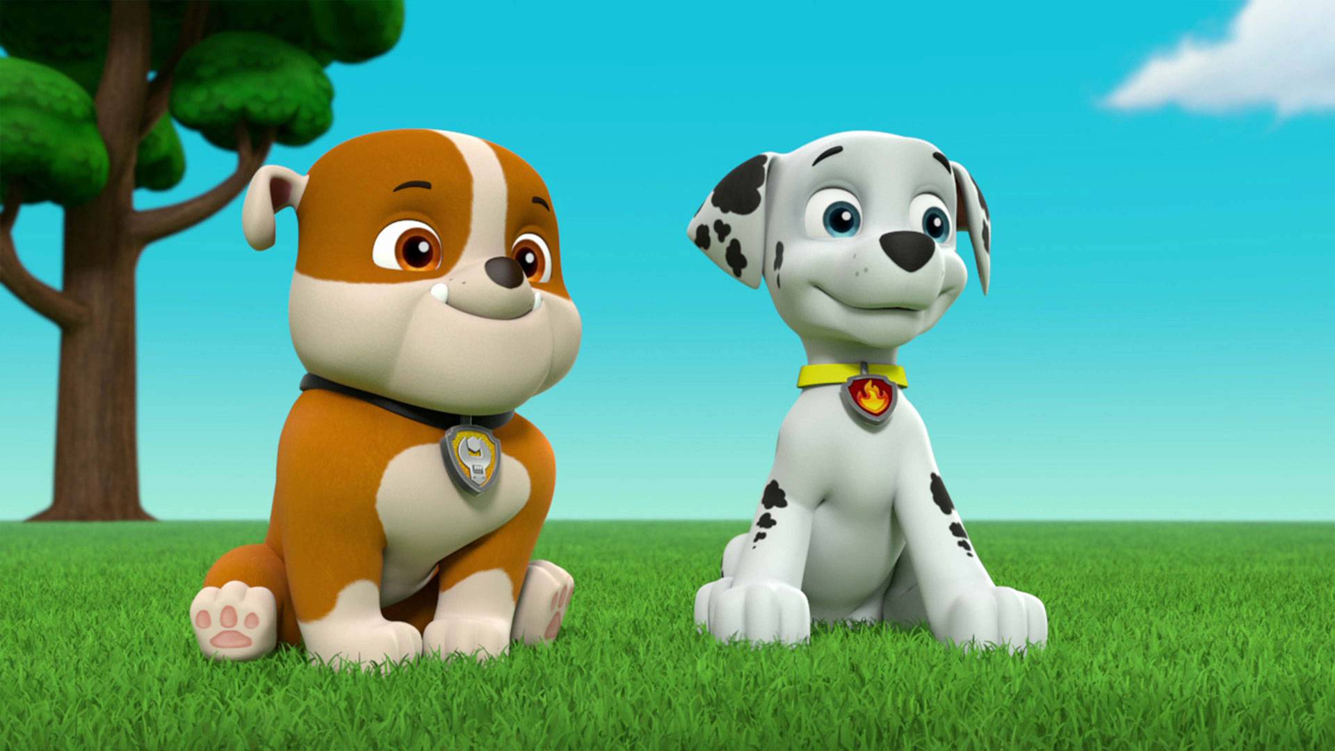 Paw Patrol S05 B08