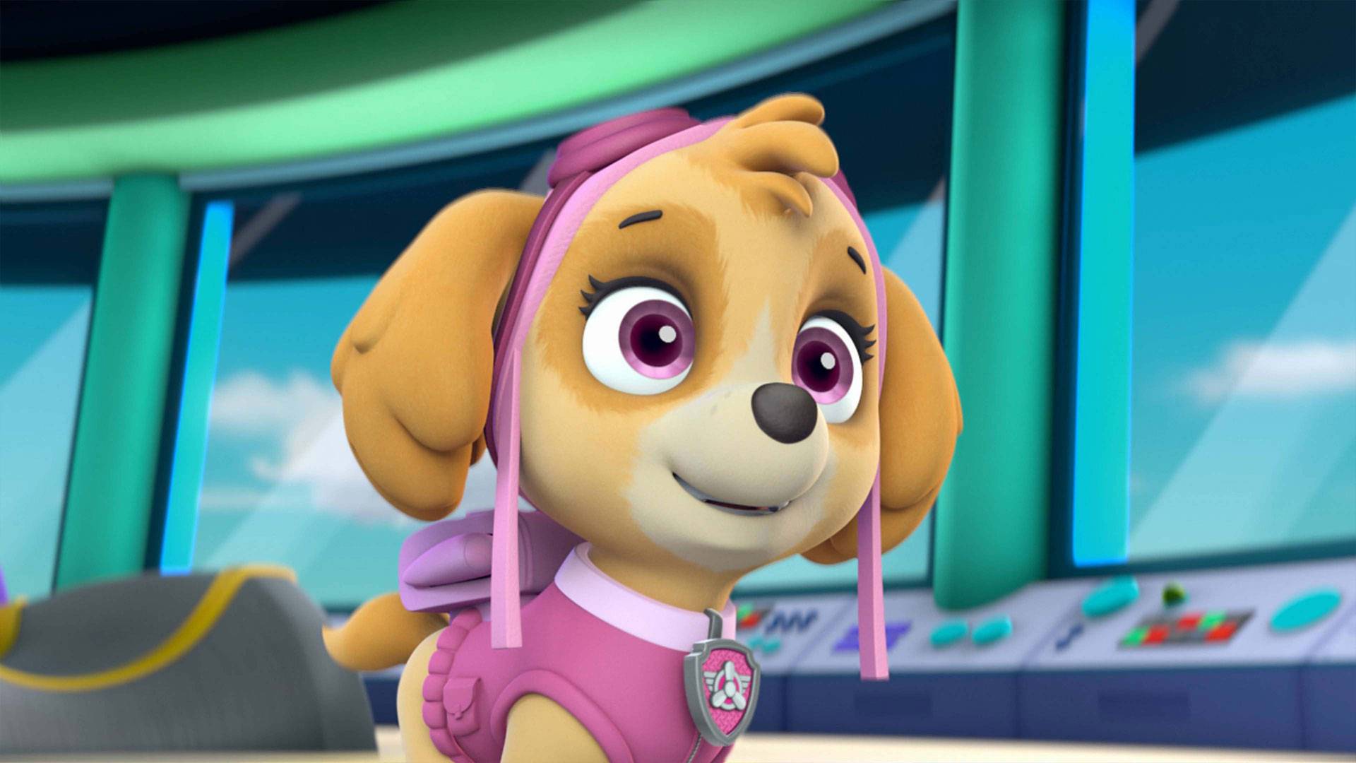 Paw Patrol S05 B26